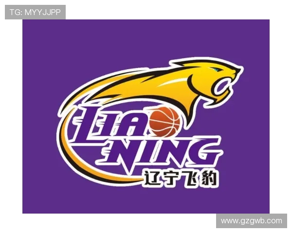 各大CBA球队的“足球队徽”误区辨析